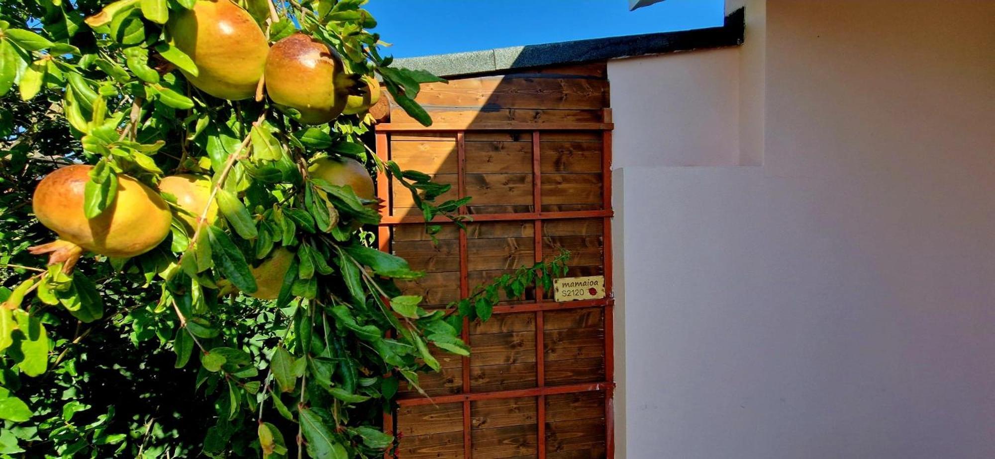 Casa Vacanza Mamaioa SantʼAnna Arresi Exterior foto